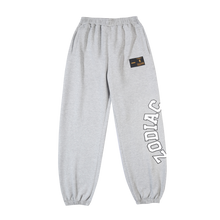 Load image into Gallery viewer, ZODIAC Nevermind Logo Sweatpants
