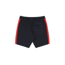 Load image into Gallery viewer, Earth Island Panel Boardshorts
