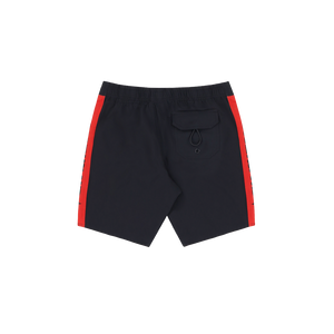 Earth Island Panel Boardshorts