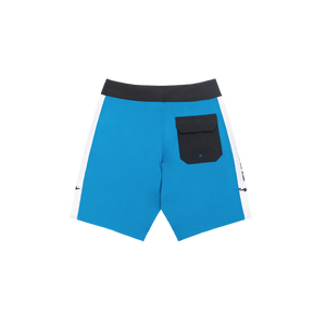 Earth Island Panel Boardshorts